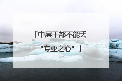 中层干部不能丢“专业之心”