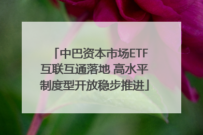 中巴资本市场ETF互联互通落地 高水平制度型开放稳步推进