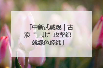 中新武威观｜古浪“三北”攻坚织就绿色经纬