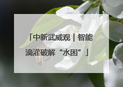 中新武威观｜智能滴灌破解“水困”