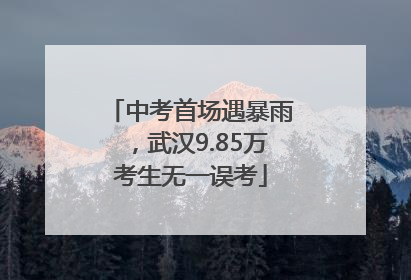 中考首场遇暴雨，武汉9.85万考生无一误考