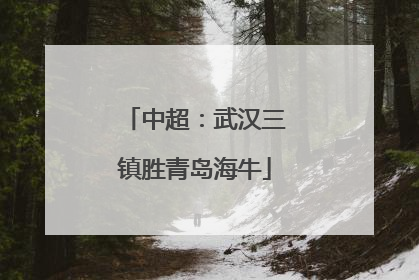 中超：武汉三镇胜青岛海牛