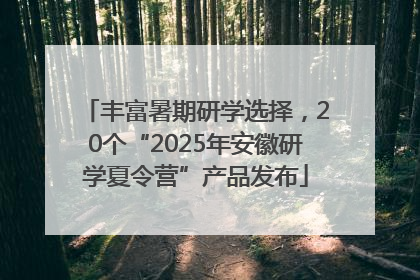 丰富暑期研学选择，20个“2025年安徽研学夏令营”产品发布