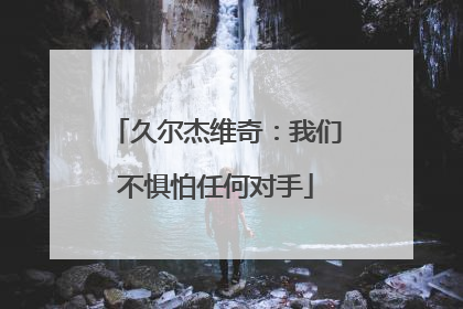久尔杰维奇：我们不惧怕任何对手