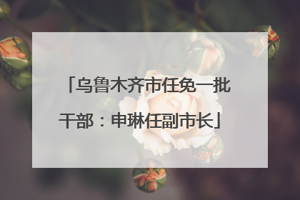 乌鲁木齐市任免一批干部：申琳任副市长
