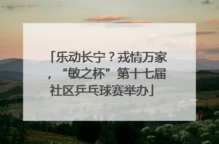 乐动长宁？戎情万家，“敏之杯”第十七届社区乒乓球赛举办