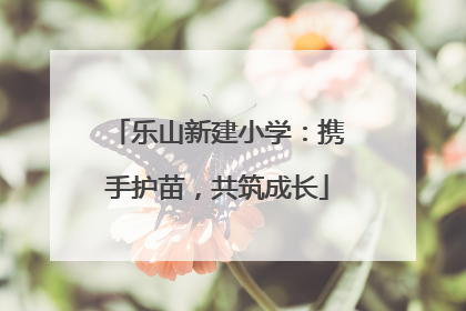 乐山新建小学：携手护苗，共筑成长
