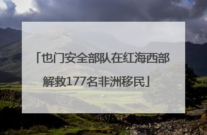 也门安全部队在红海西部解救177名非洲移民