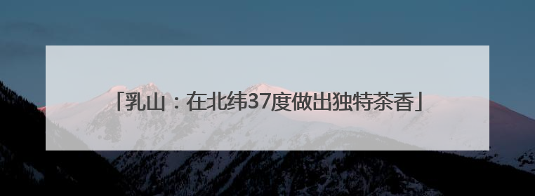 乳山：在北纬37度做出独特茶香