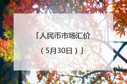 人民币市场汇价（5月30日）