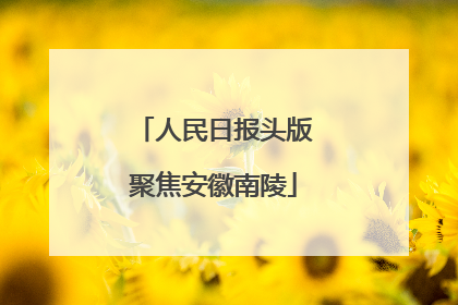 人民日报头版聚焦安徽南陵