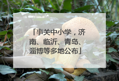 事关中小学，济南、临沂、青岛、淄博等多地公布