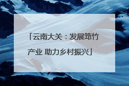 云南大关：发展筇竹产业 助力乡村振兴