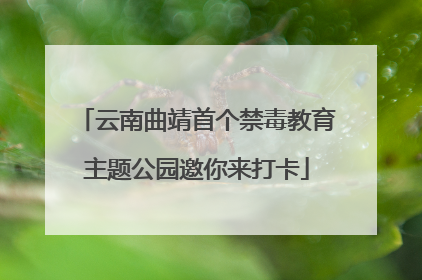 云南曲靖首个禁毒教育主题公园邀你来打卡