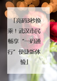 亮码3秒换乘！武汉市民畅享“一码通行”便捷新体验