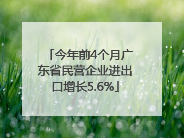 今年前4个月广东省民营企业进出口增长5.6%