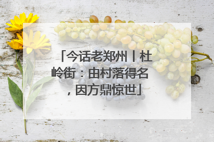 今话老郑州丨杜岭街：由村落得名，因方鼎惊世