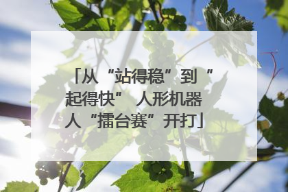 从“站得稳”到“起得快” 人形机器人“擂台赛”开打