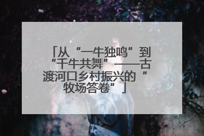 从“一牛独鸣”到“千牛共舞”——古渡河口乡村振兴的“牧场答卷”