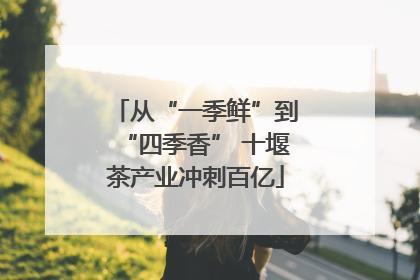 从“一季鲜”到“四季香” 十堰茶产业冲刺百亿