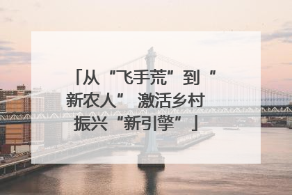 从“飞手荒”到“新农人” 激活乡村振兴“新引擎”