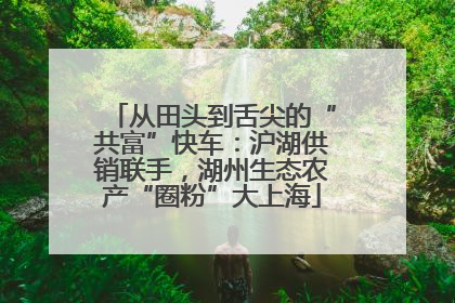 从田头到舌尖的“共富”快车：沪湖供销联手，湖州生态农产“圈粉”大上海