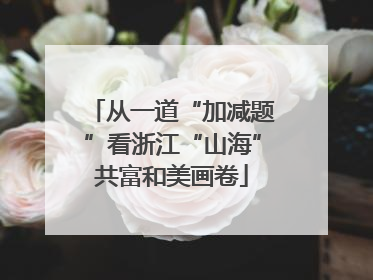 从一道“加减题”看浙江“山海”共富和美画卷
