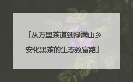 从万里茶道到绿满山乡 安化黑茶的生态致富路