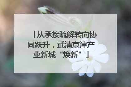 从承接疏解转向协同跃升，武清京津产业新城“焕新”