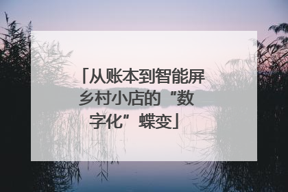 从账本到智能屏 乡村小店的“数字化”蝶变