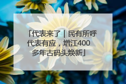代表来了｜民有所呼代表有应，增江400多年古码头焕新
