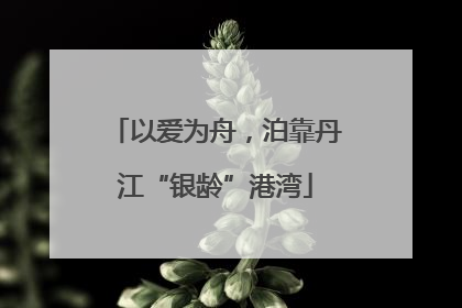 以爱为舟，泊靠丹江“银龄”港湾