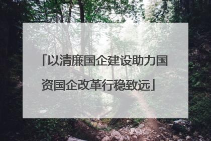 以清廉国企建设助力国资国企改革行稳致远