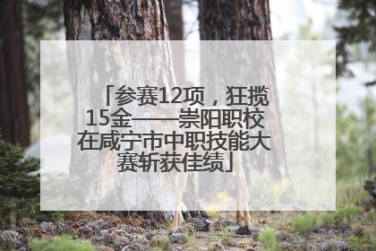 参赛12项，狂揽15金——崇阳职校在咸宁市中职技能大赛斩获佳绩