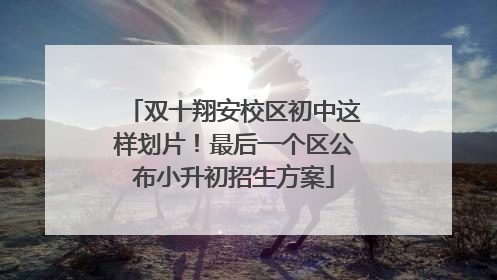 双十翔安校区初中这样划片！最后一个区公布小升初招生方案