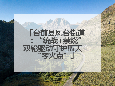 台前县凤台街道：“统战+禁烧”双轮驱动守护蓝天 “零火点”