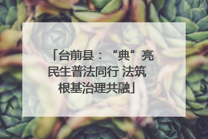 台前县：“典”亮民生普法同行 法筑根基治理共融