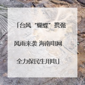 台风“蝴蝶”携强风雨来袭 海南电网全力保民生用电