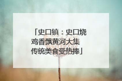 史口镇：史口烧鸡香飘黄河大集 传统美食受热捧