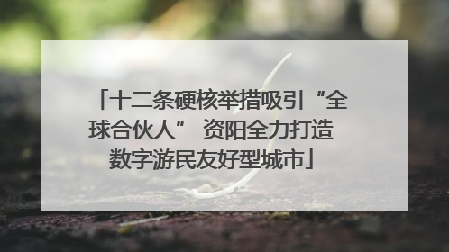 十二条硬核举措吸引“全球合伙人” 资阳全力打造数字游民友好型城市