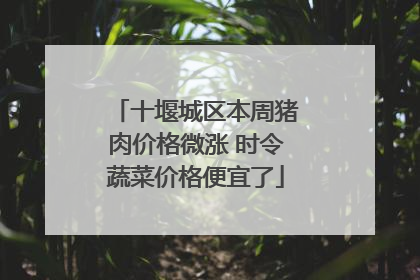 十堰城区本周猪肉价格微涨 时令蔬菜价格便宜了