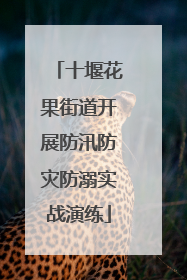 十堰花果街道开展防汛防灾防溺实战演练