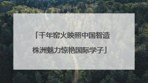 千年窑火映照中国智造 株洲魅力惊艳国际学子