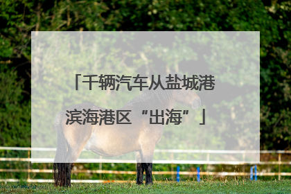 千辆汽车从盐城港滨海港区“出海”