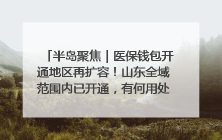半岛聚焦｜医保钱包开通地区再扩容！山东全域范围内已开通，有何用处？如何操作？速戳→