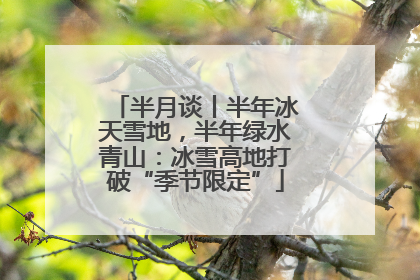 半月谈丨半年冰天雪地，半年绿水青山：冰雪高地打破“季节限定”