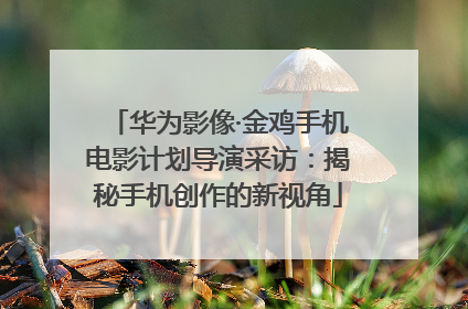 华为影像·金鸡手机电影计划导演采访：揭秘手机创作的新视角