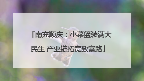 南充顺庆：小菜篮装满大民生 产业链拓宽致富路