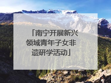 南宁开展新兴领域青年子女非遗研学活动