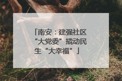 南安：建强社区“大党委”撬动民生“大幸福”